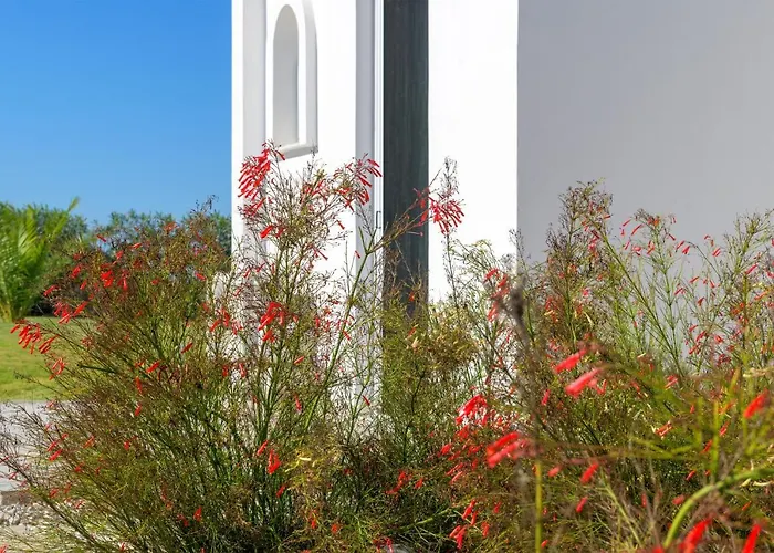 Niva Kamiros