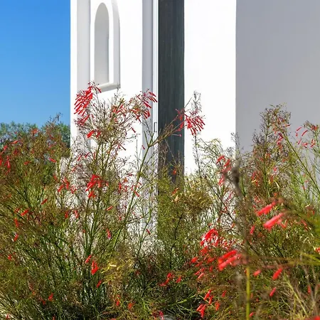 Niva Kamiros